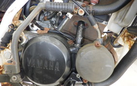 YAMAHA DT50 17W