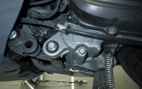 HONDA TACT Basket 2024 AF75