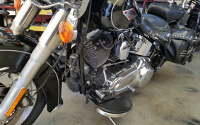 HARLEY FLSTC 2013 BW5