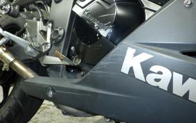 KAWASAKI NINJA 250 2024 EX250L