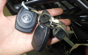HARLEY RH975 2023