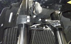 HUSQVARNA NORDEN901 2022