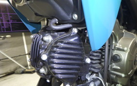 KAWASAKI Z125 PRO BR125H