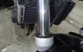 HONDA HORNET 250 2007 MC31
