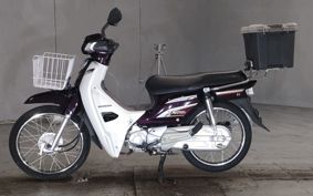 HONDA DREAM 110 JA27