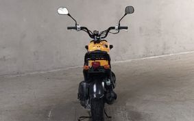 HONDA ZUMAR AF58
