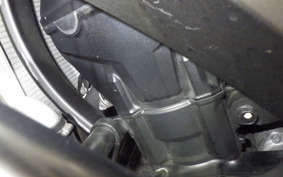 KAWASAKI NINJA 1000SX 2024 ZXT02K