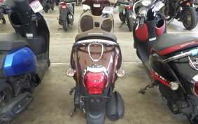 HONDA GIORNO 3 AF77