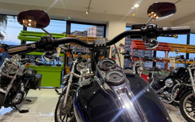 HARLEY FXLR1340 2018 YNJ