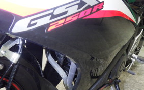 SUZUKI GSX250RA 2019