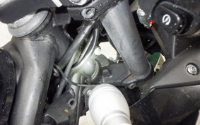KAWASAKI NINJA 250 SL BX250A