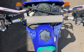 KAWASAKI KDX125 SR DX125A