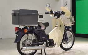 HONDA C50 SUPER CUB 1994 AA01
