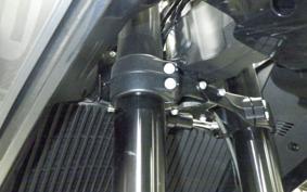 HUSQVARNA NORDEN901 2022