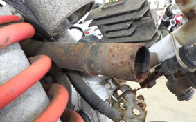 HONDA CRM250R GEN 2 MD24