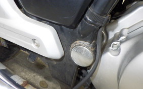 SUZUKI GZ150 2024