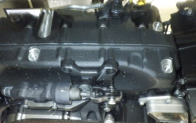 HARLEY RH975S 2024