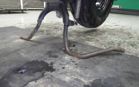HONDA ZOOMER AF58