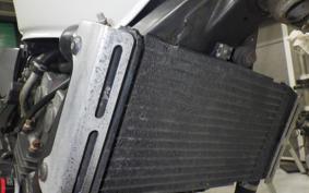 HONDA HORNET 250 MC31