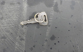 SUZUKI BIRDIE 50 BA42A