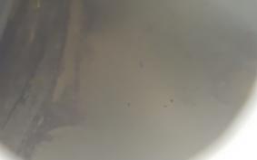 HARLEY FLSTS 1340 2014