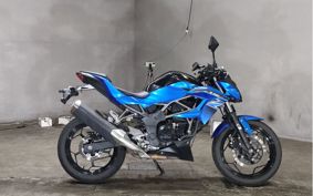 KAWASAKI Z250 SL BR250E