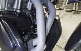 YAMAHA MT-25 A RG74J