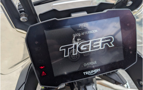 TRIUMPH TIGER 900 RALLY PRO 2024 TRE67D