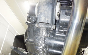 YAMAHA TW225 2009 DG09J