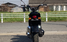 HONDA ZUMAR AF58