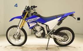 YAMAHA WR250R 2022 DG15J