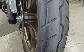 HARLEY FXLRST1920 2025