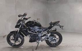 KAWASAKI Z250 SL BR250E