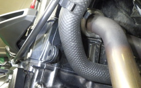 KAWASAKI Z900 Gen.2 2023 ZR900B