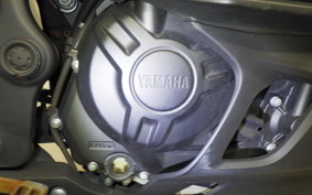 YAMAHA YZF-R25 2023 RG43J