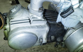 HONDA MONKEY 2024 Z50A