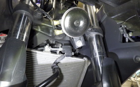 YAMAHA YZF-R25 A 2024 RG43J