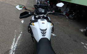 SUZUKI DL650 ( V-Strom 650 ) 2023 C733M