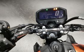 YAMAHA FZ-X150 RG73