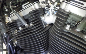 HARLEY XL883N 2015