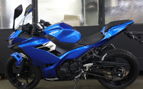 KAWASAKI NINJA 250 EX250P