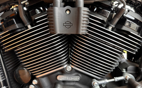 HARLEY FXLRS 2023 YWZ