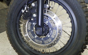 OTHER +MUTT250
