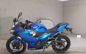 KAWASAKI NINJA 250 EX250P