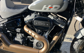 HARLEY  HARLEY FXFBS 2025 YLK