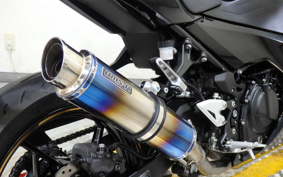 KAWASAKI NINJA 250 EX250P