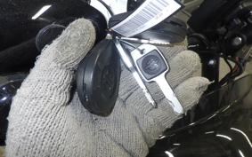 HARLEY FLSB 1750 2019