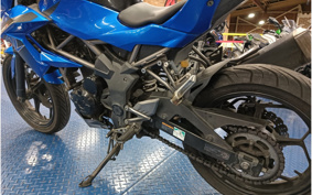 KAWASAKI Z250 SL BR250E