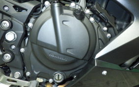 KAWASAKI NINJA 250 2022 EX250Y