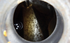 KAWASAKI ZZ-R250 EX250H